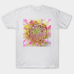 Macro Bright Pink, Yellow And White Dahlia Bloom T-Shirt